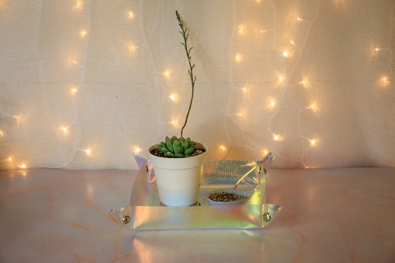 LVB Cloud Tray Set
