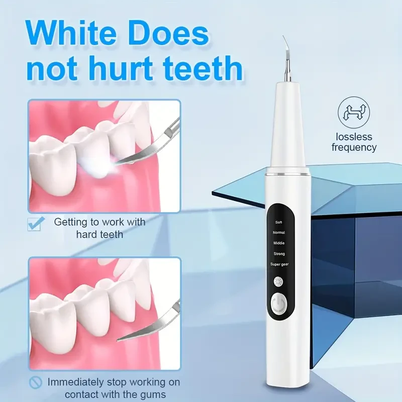 Electric Oral Cleaner Kit - Dental Cleaning and Whitening Flosser with Replaceable Toothbrush Heads
