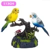 Talking Parrots Birds Toys