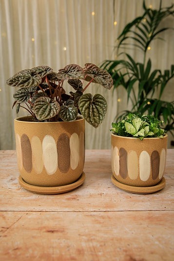 The Jenni Pot